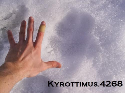 Kyro hand